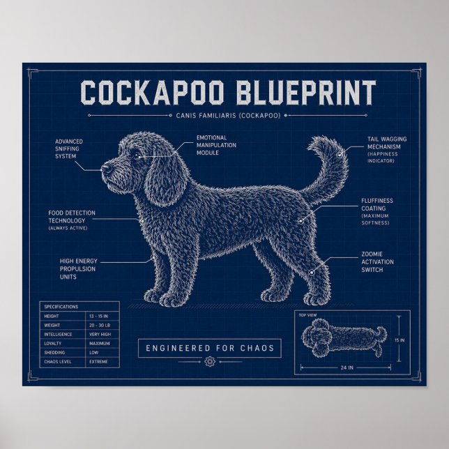 Affiche Plan de Cockapoo sur toile Cadeau pour amateur de  (Devant)