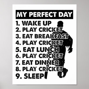Affiche Plan de journée de cricket joueur de cricket