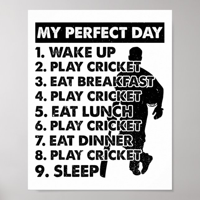 Affiche Plan de journée de cricket joueur de cricket  (Devant)