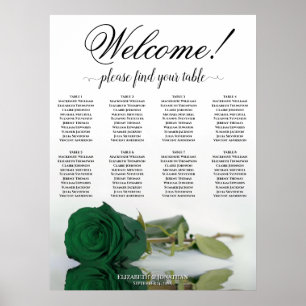 Affiche Plan de table élégant à 8 tables Rose verte émerau