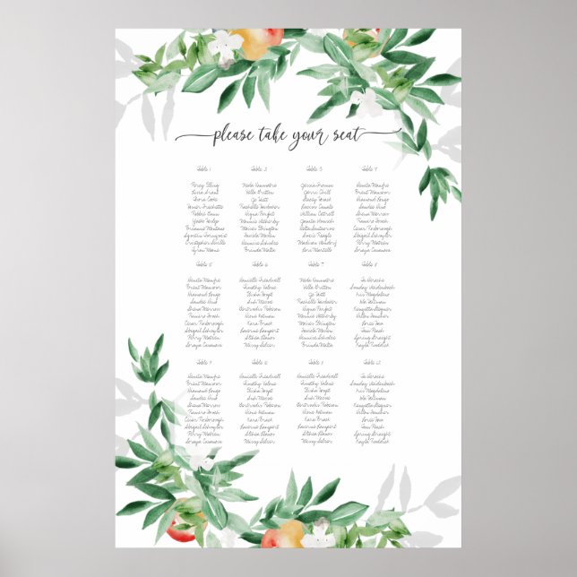 Affiche Plan d'été de la verge (Devant)