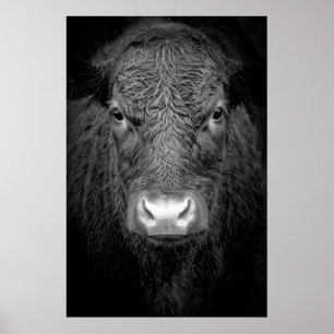 AFFICHE PLAN RAPPROCHÉ DES MONTAGNES DE VACHE - NOIR ET