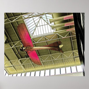 Affiche Plane Ceiling? (1)