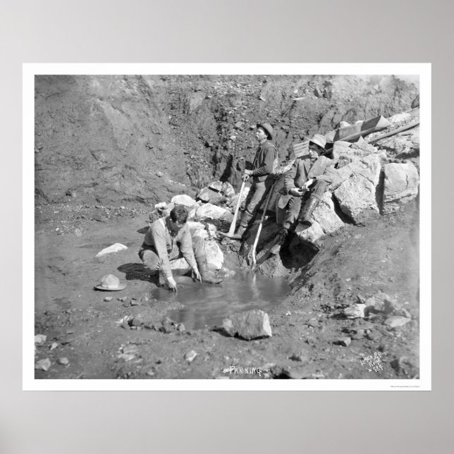 Affiche Planification pour Gold Alaska 1902 (Devant)