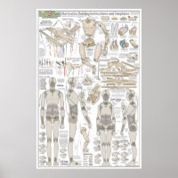 Plans de construction de la marionnette