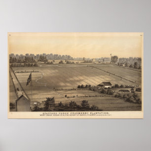 Affiche Plantation de canneberge de forge de Stafford,