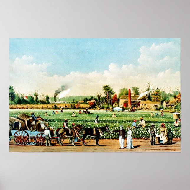 Affiche Plantation de coton dans le Mississippi (Devant)