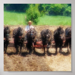 Affiche Plantation du temps