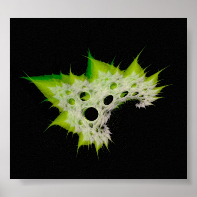 Affiche Plante (Devant)