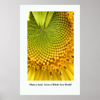 Affiche Plante a Seed. Cultivez un nouveau monde entier ! 