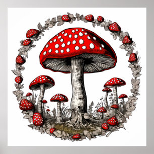 Affiche Plante de champignon agare de champignons