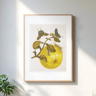 Affiche Plante de citron vintage avec papillons Art jaune