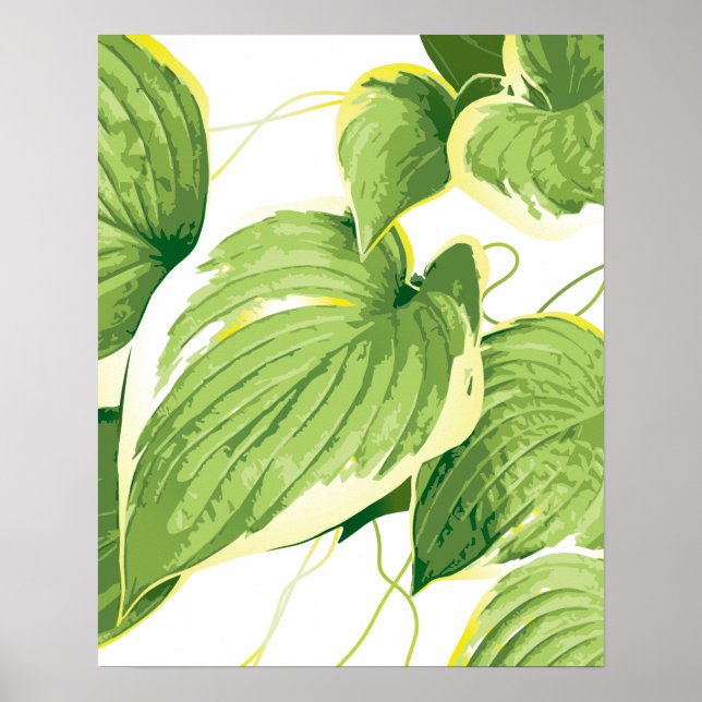Affiche Plante de ficus 2 (Devant)