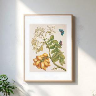 Affiche Plante de fruits vintage avec papillons Art
