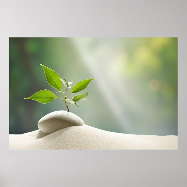 Affiche Plante de galets Tranquille nature paisible (Devant)