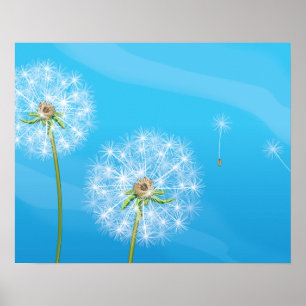 Affiche Plante de pissenlit
