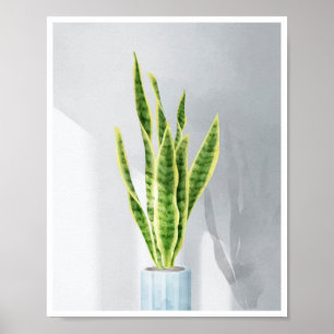 Affiche Plante de serpent, langue de belle-mère,