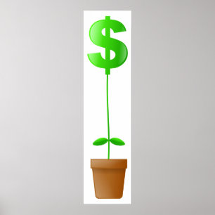 Affiche Plante dollar