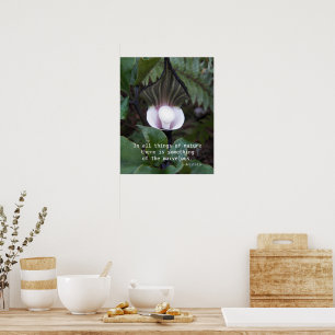 Affiche Plante Jack-in-the-Pulpit Citation d'Aristote sur
