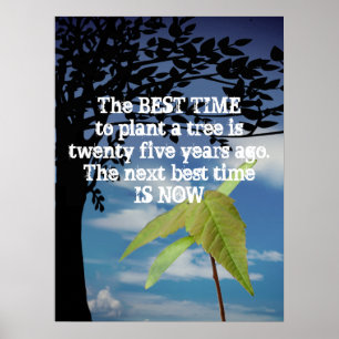 Affiche Plante Motivationnel Une Devis D'Arbre