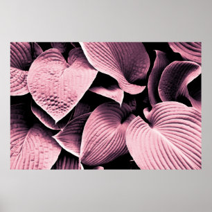 AFFICHE PLANTE RED LEAFED