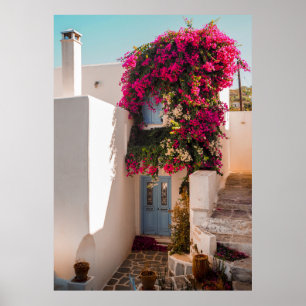 Affiche Plante ROSE ET VERT SUR MUR BLANC EN BÉTON