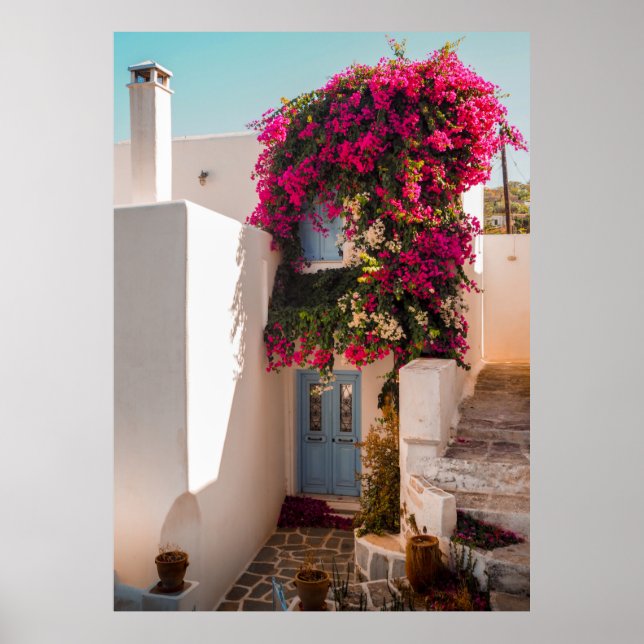Affiche Plante ROSE ET VERT SUR MUR BLANC EN BÉTON (Devant)