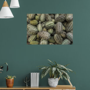 Affiche Plante tropical africain de concombre sauvage