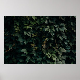 AFFICHE PLANTE VERT EN FEUILLE