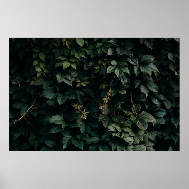 AFFICHE PLANTE VERT EN FEUX (Devant)