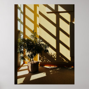 Affiche Plante vert pointu sur une table en bois marron