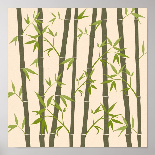 Affiche Plantes de bambou vert naturel (Devant)