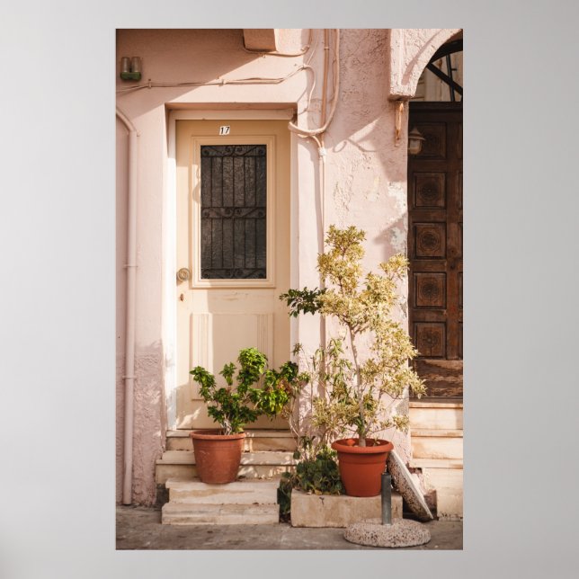 AFFICHE PLANTES FEUILLES VERTES (Devant)