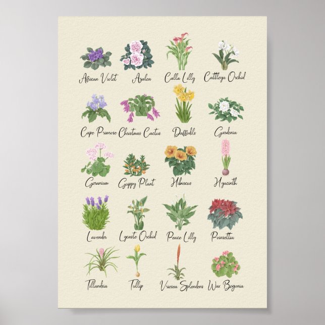 Affiche Plantes intérieurs + Noms Gardener Plante Amateurs (Devant)