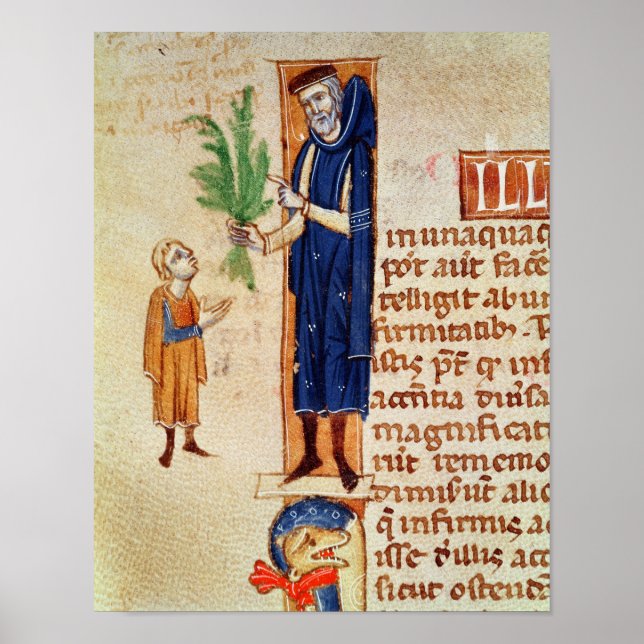 Affiche Plantes médicinal (Devant)