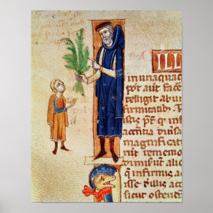 Affiche Plantes médicinales