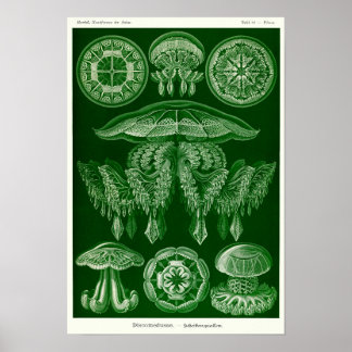 Affiche Plaque 88. Mépris.