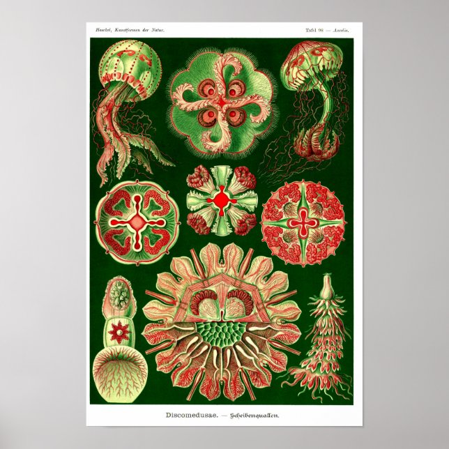 Affiche Plaque 98. Mépris. (Devant)