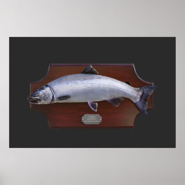 Affiche Plaque d'affichage Coho Saumon Trophée (Devant)