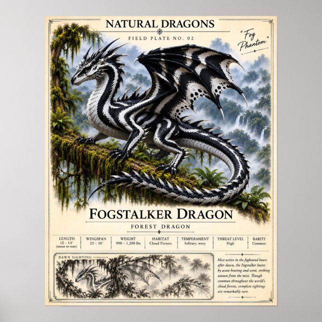 Affiche Plaque de terrain de Fogstalker (Devant)