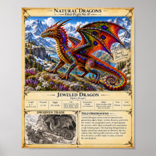 Affiche Plaque de terrain du dragon gemmé