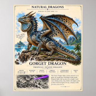 Affiche Plaque de terrain du dragon Gorget