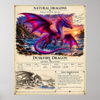 Affiche Plaque de terrain Duskfire