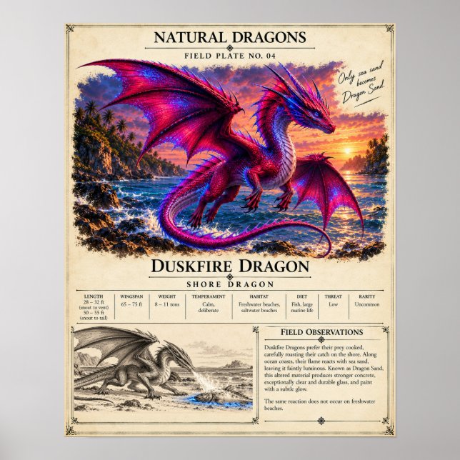 Affiche Plaque de terrain Duskfire (Devant)