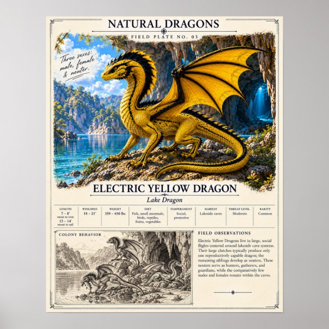 Affiche Plaque de terrain jaune électrique (Devant)