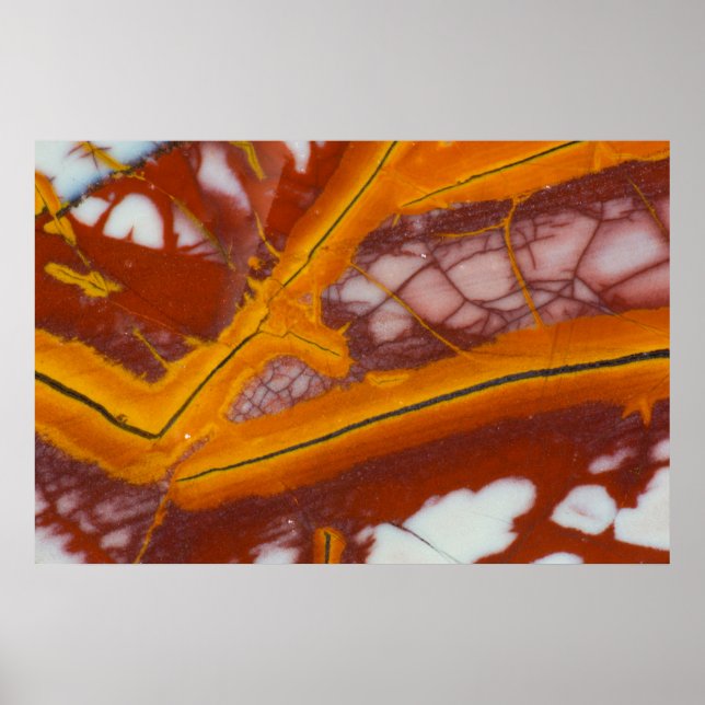 Affiche Plaque rocheuse Noreena Jasper (Devant)