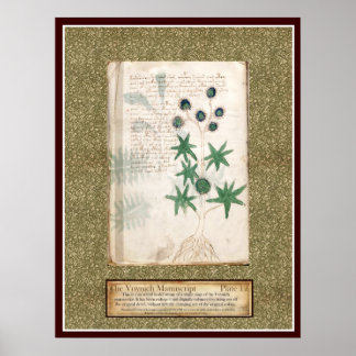 Affiche Plaque Voynich 12