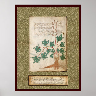 Affiche Plaque Voynich 17