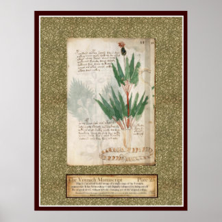 Affiche Plaque Voynich 25
