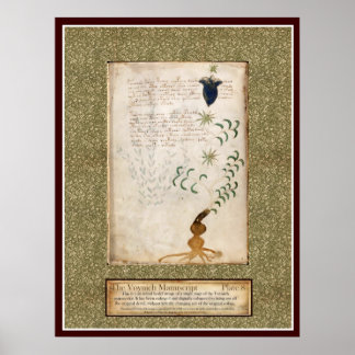 Affiche Plaque Voynich 8